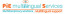 PIE Multilingual logo